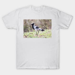 Blacksmith Plover - Krüger National Park, South Africa T-Shirt